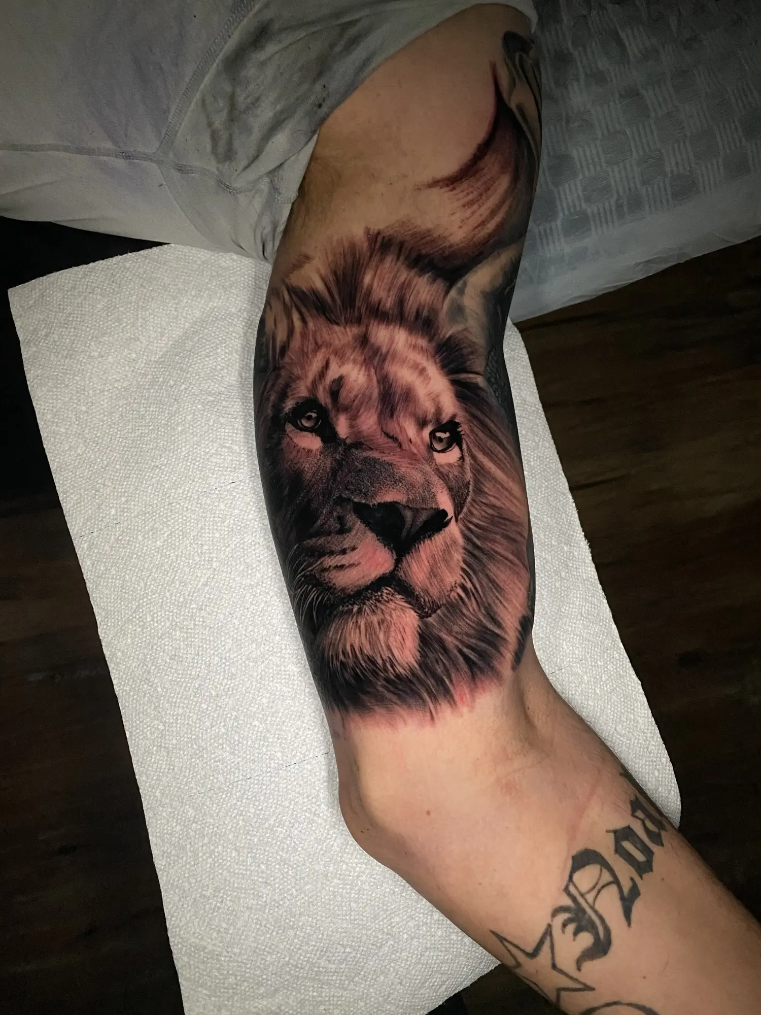 Black and grey lion portrait tattoo with script