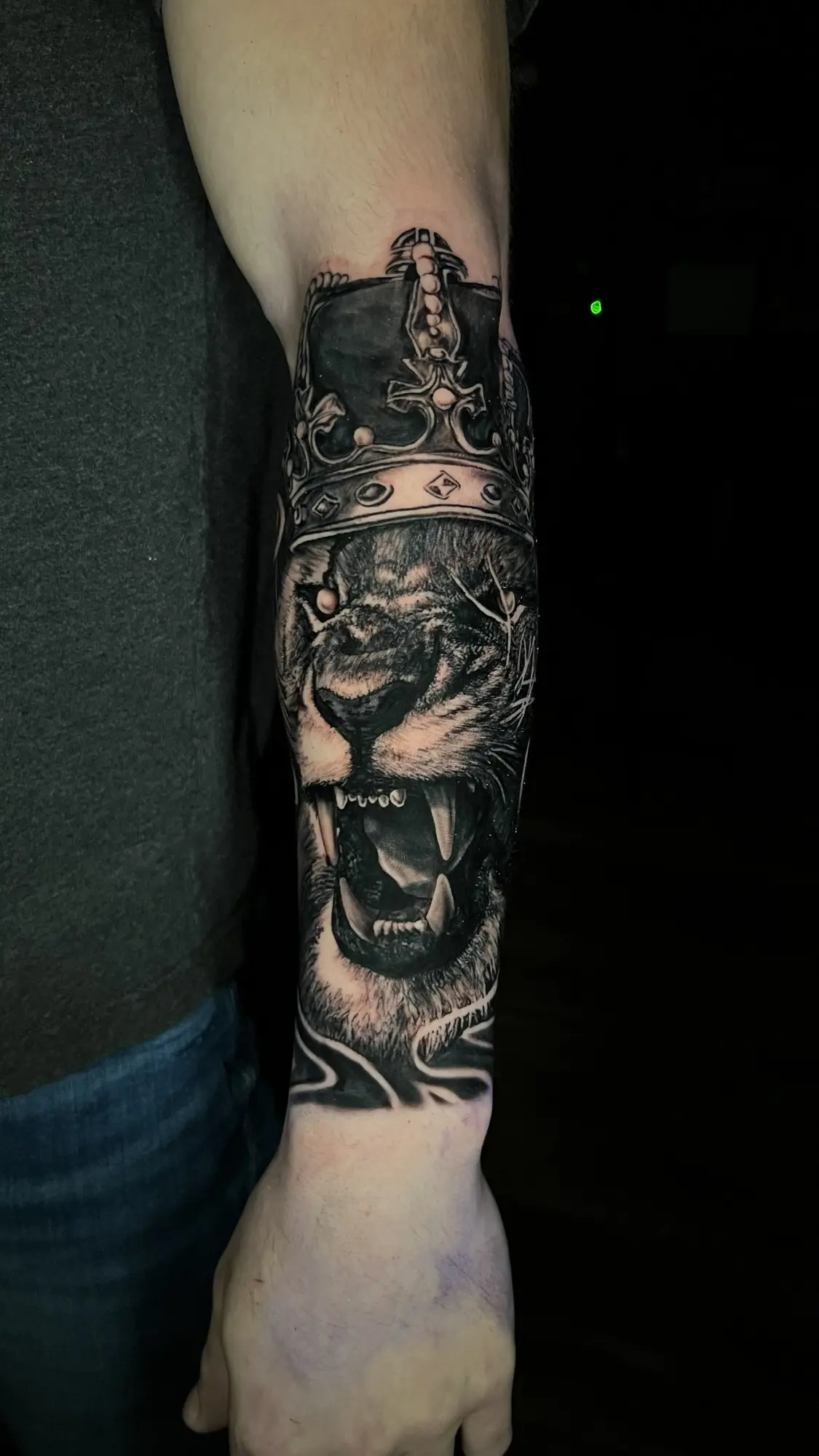 Black and grey crowned lion portrait forearm tattoo with ornamental details