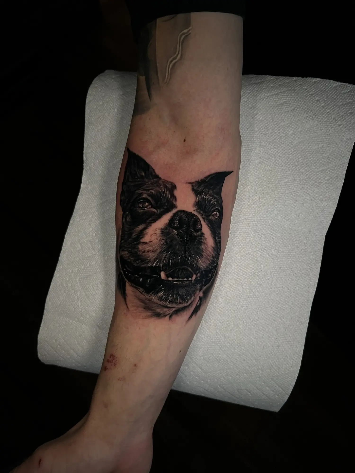 Black and grey dog portrait tattoo with red accents