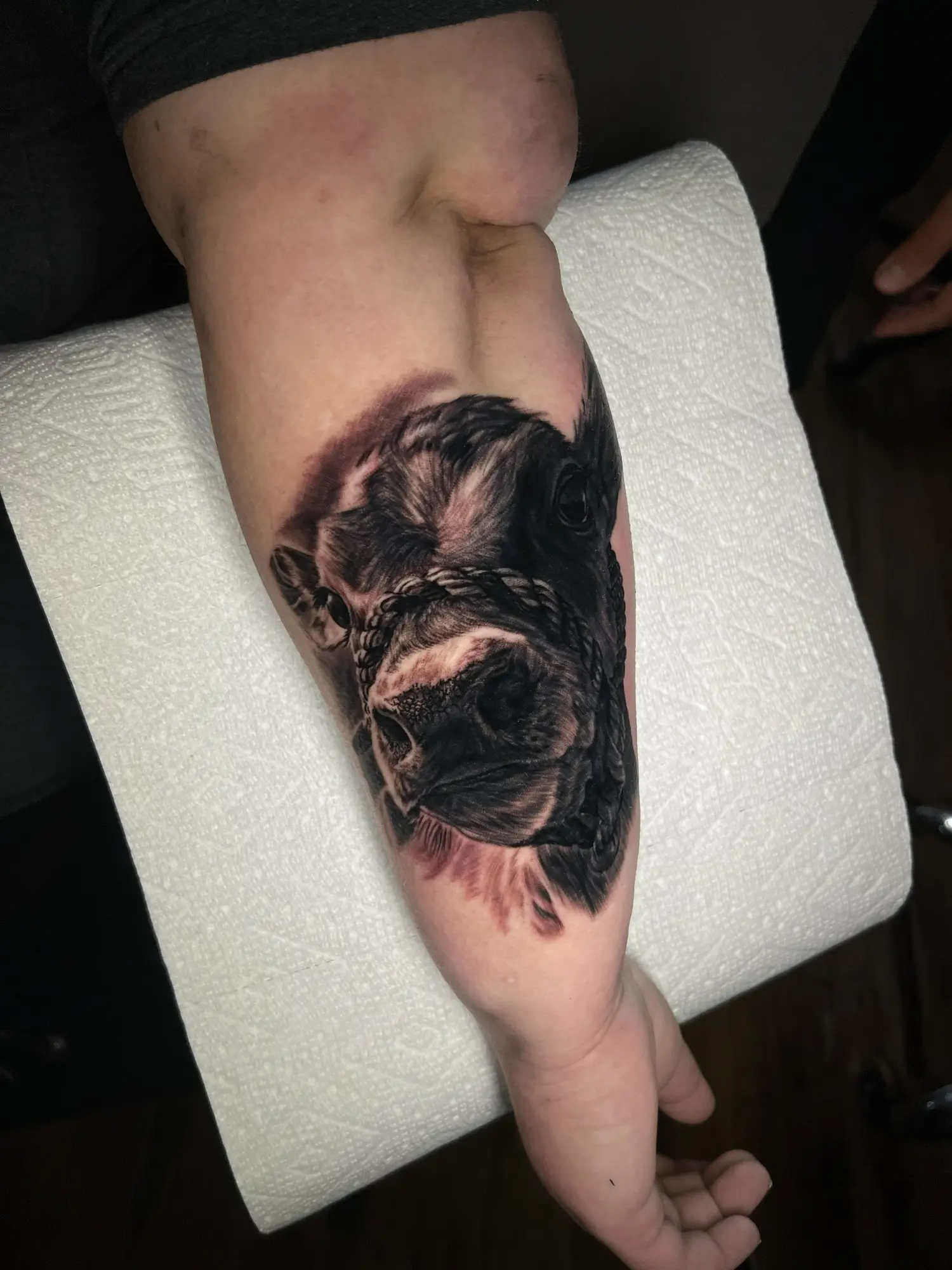 Black and grey dog portrait tattoo with red background accents