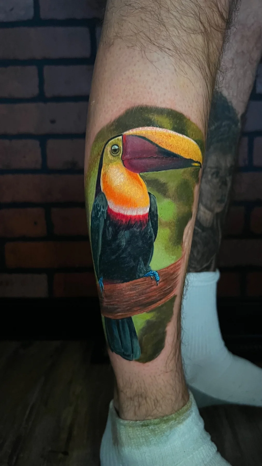 Color realism toucan tattoo