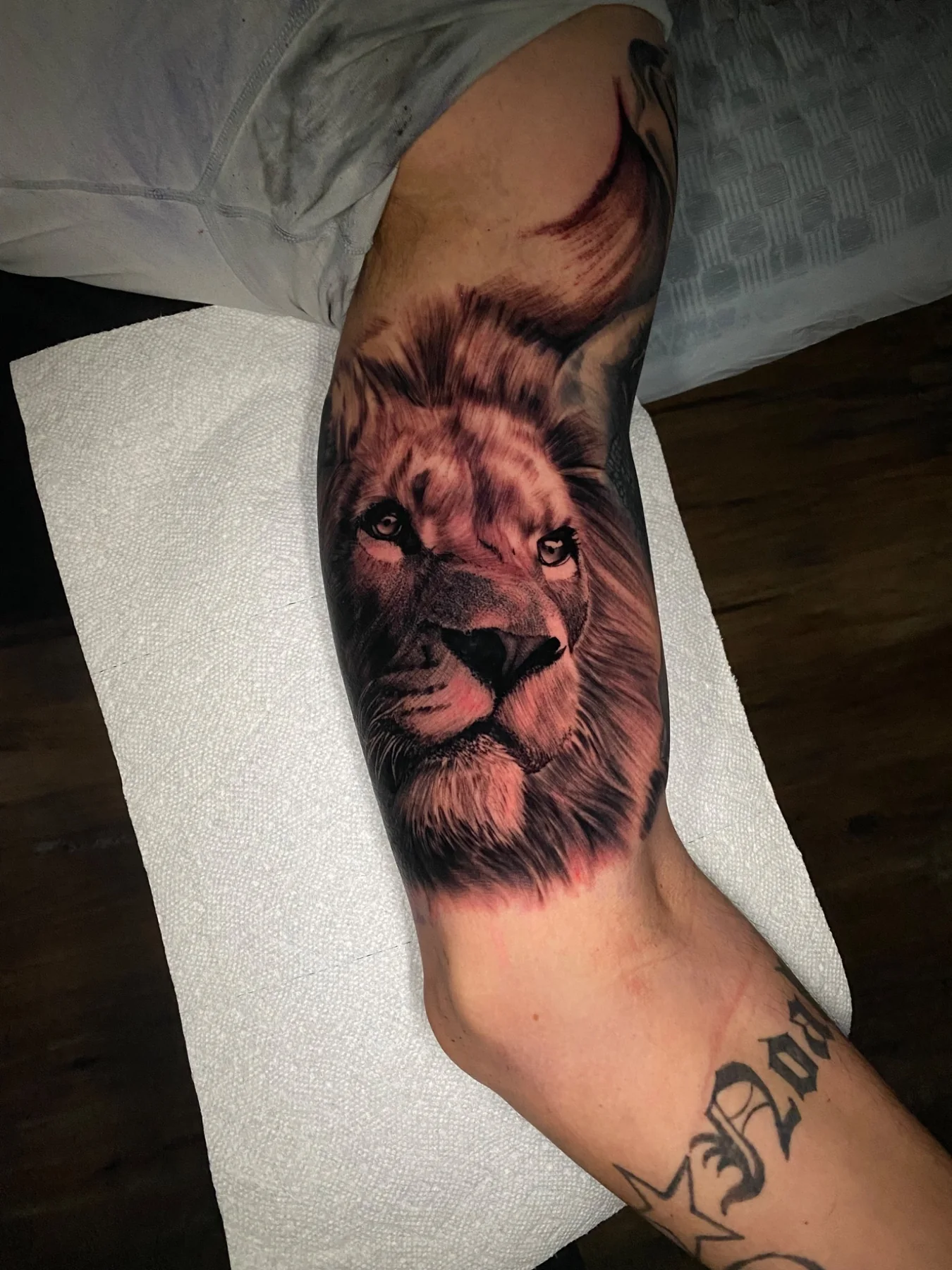 Black and grey realism lion tattoo